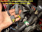 IMG_0029bb.jpg