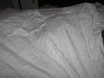 sheets2.jpg