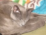 IMG_0336.JPG