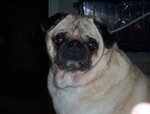 Picture 055.jpg