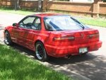 red teggy 1.jpg
