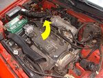 d16a6.jpg