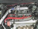 a6170b3bb9bb.jpg