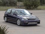 purplehatch01.jpg