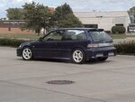 purplehatch02.jpg