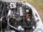 PICT0583.JPG