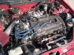Civic06.jpg