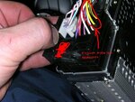 harness2.JPG