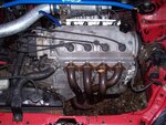 100_0351.JPG