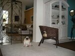 casa 019.jpg