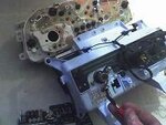 wire speedo.jpg