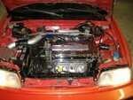 jays_car_1.jpg