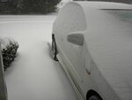 snow4.jpg