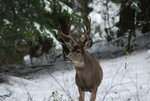 DSC_0402.JPG