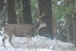 DSC_0382.JPG