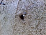 downsized_1119091040.jpg