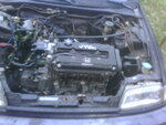 IMG00439.jpg