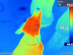 thermal 2.jpg
