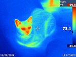 thermal 3.jpg