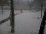 snow.jpg