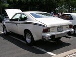 74 hornet b.jpg