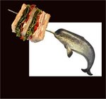 narwhalclub.jpg