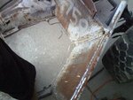 IMG01258.jpg