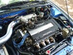 2010-06-05 14.26.48.jpg