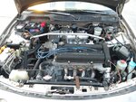 DSCN0847.JPG