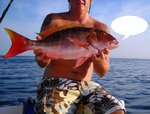 fishy.jpg