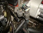 DSC01131.JPG