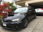 davidswrx.jpg