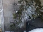 Icicles.jpg