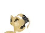 dog wip 3.JPG