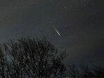 Leonid+Meteor+Shower.jpg