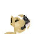 dog wip 4.JPG