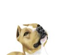 dog finished 1.JPG