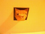 IMG00163-20110223-0122.jpg