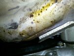 IMG_20110322_133529.jpg