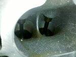 IMG_20110401_170459.jpg
