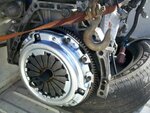 IMG_20110401_170509.jpg