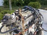 IMG_20110401_170518.jpg