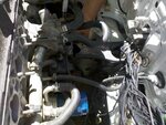 IMG_20110403_123504.jpg