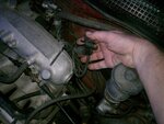 IMAG0105.jpg