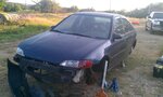 IMAG0178.jpg