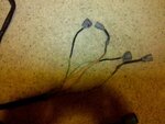 IMG_20110706_210355.jpg