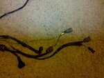 IMG_20110706_210445.jpg
