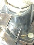 image-1907369466.jpg
