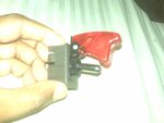 IMG00105.jpg
