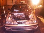 IMG00222-20110618-2357.jpg